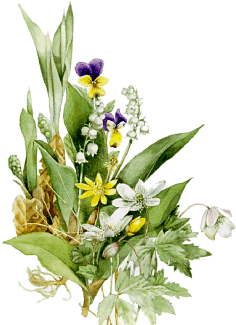 Le Pouvoir des FLeurs